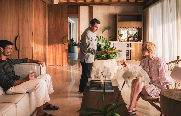 Descripción de la imagen